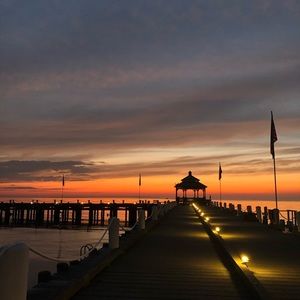 Meet your Posher, Lily